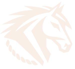 Ornery Horse Excavation_Favicon
