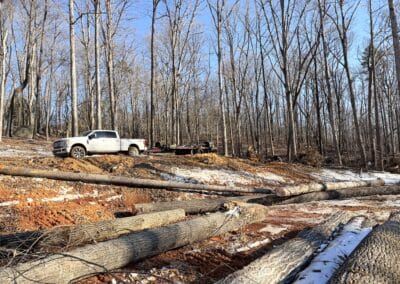 A truck rests on a hillside, with a backdrop of trees