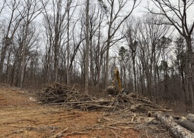 A pile of wood and debris scattered on the forest floor