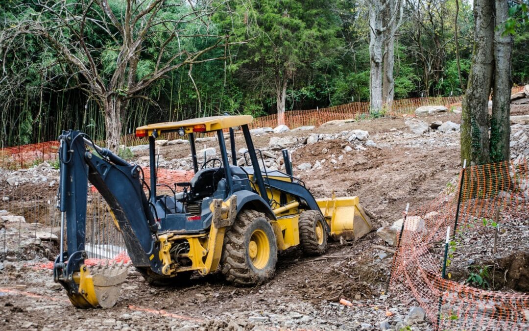What to Expect From Professional Land Clearing