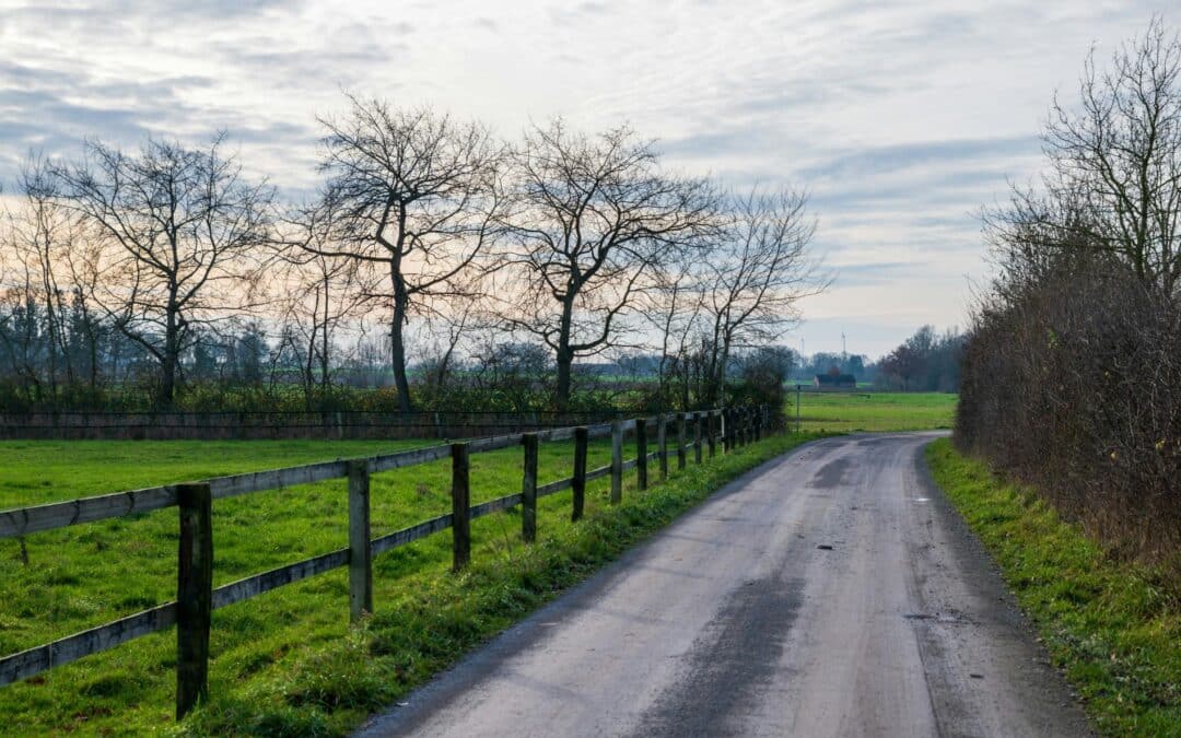 Protecting Rural Barns with Smart Driveway Repair in SC
