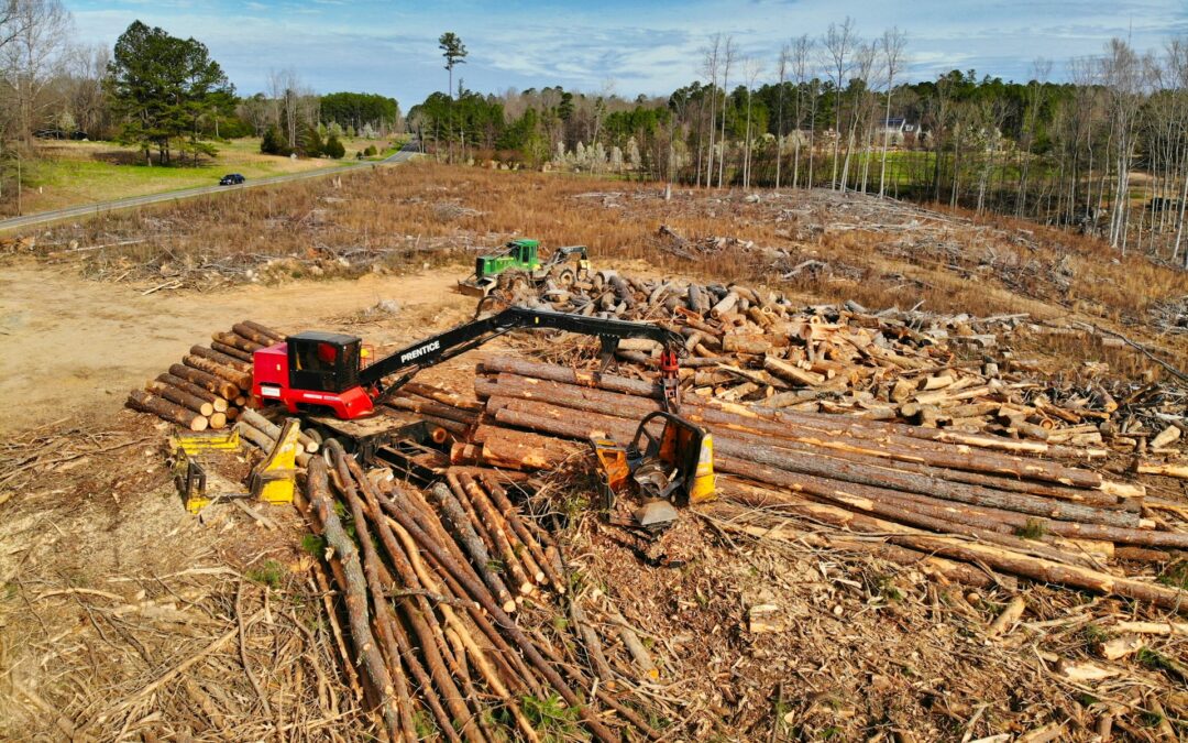 What Land Clearing Services Include in York County SC
